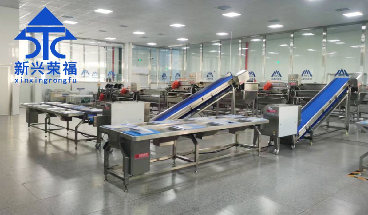 日供蔬菜20噸，新興榮福承建凈菜加工項(xiàng)目完成驗(yàn)收